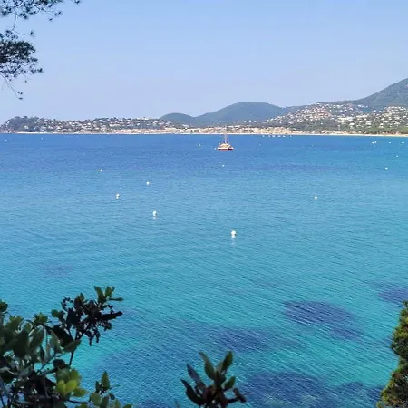 T3 A 50 M De La Cavalaire-sur-Mer